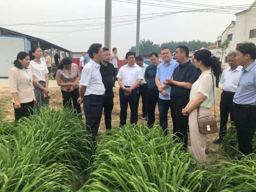 大力發展我省特色地標農產品種植加工，盡快提升產業化水平調研