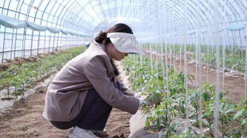科技小院與共享菜園 科班研究生入村，為農產品種植注入新生機