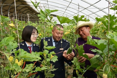 戈壁灘上“菜園子”直通“菜籃子”，水產養殖助力現代農業展宏圖